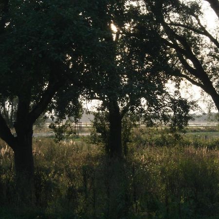 Landhaus An Der Wiek Poseritz Dış mekan fotoğraf