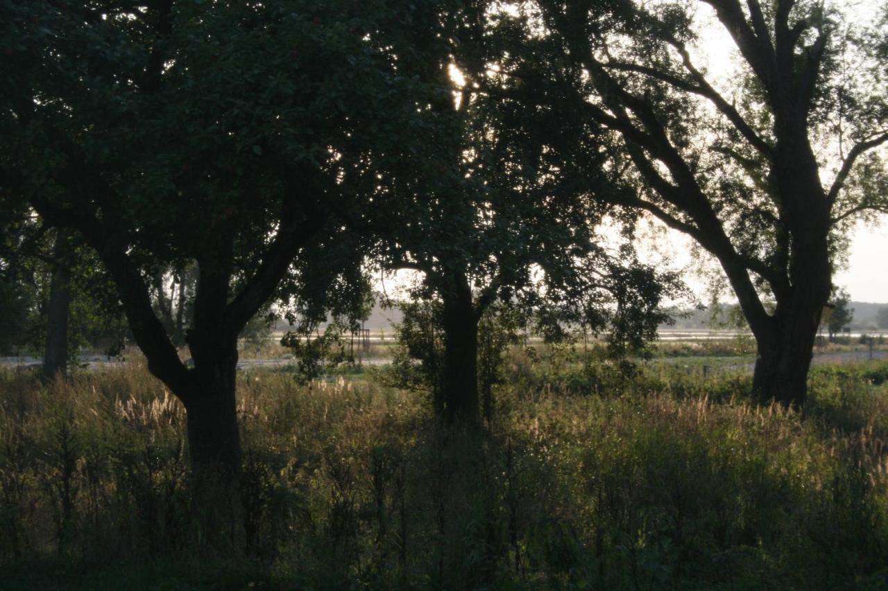 Landhaus An Der Wiek Poseritz Dış mekan fotoğraf